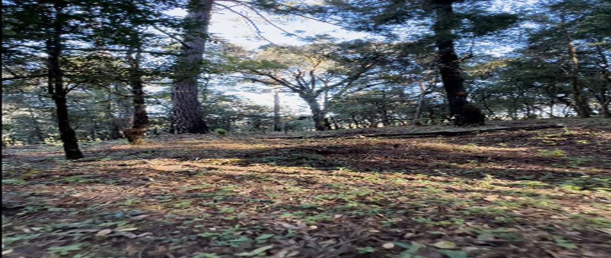 Foto de terreno industrial en camino al manzano , cerro gordo, valle de bravo, méxico, 29905107 foto 06 Foto de terreno industrial en venta en camino al manzano , cerro gordo, valle de bravo, méxico, 29905107 No. 06