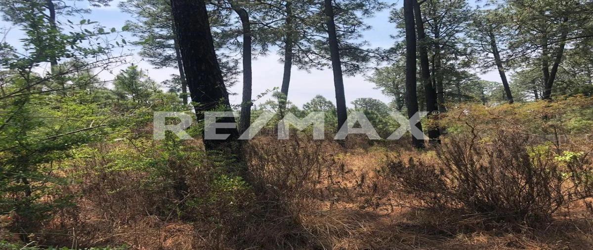 Foto de terreno habitacional en venta en camino al mezcal manso , los espinos, tapalpa, jalisco, 30443811 No. 03