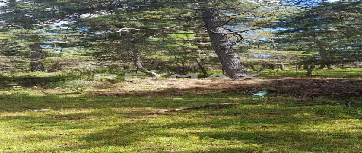 Foto de terreno habitacional en venta en camino al mezcal manso , los espinos, tapalpa, jalisco, 30443811 No. 05