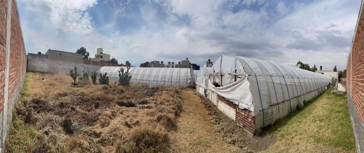 Foto de terreno habitacional en venta en camino al monte , san vicente chicoloapan de juárez centro, chicoloapan, méxico, 27563657 No. 01