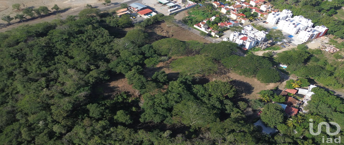 Foto de terreno habitacional en venta en camino al posquelite , la puerta, zihuatanejo de azueta, guerrero, 30484678 No. 05