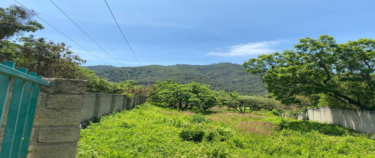 Foto de terreno habitacional en venta en camino al potrero , san juan, malinalco, méxico, 0 No. 03