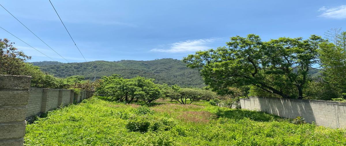 Foto de terreno habitacional en venta en camino al potrero , san juan, malinalco, méxico, 0 No. 04