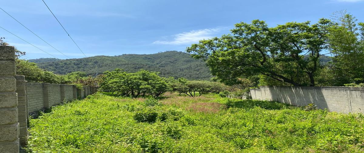 Foto de terreno habitacional en venta en camino al potrero , san juan, malinalco, méxico, 0 No. 05