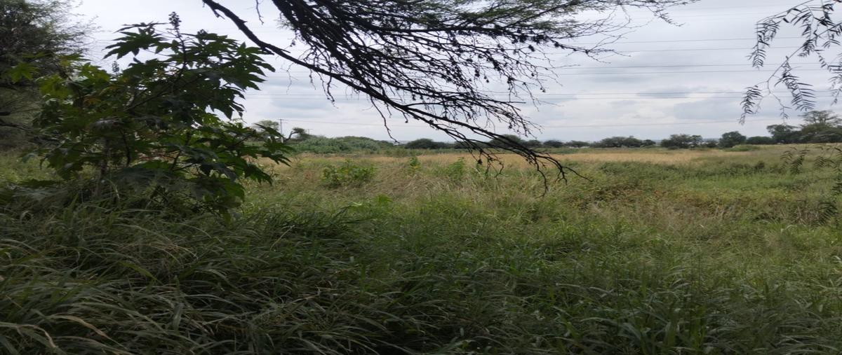 Foto de terreno industrial en venta en camino al rastro , vegas del río, san juan del río, querétaro, 31710016 No. 05
