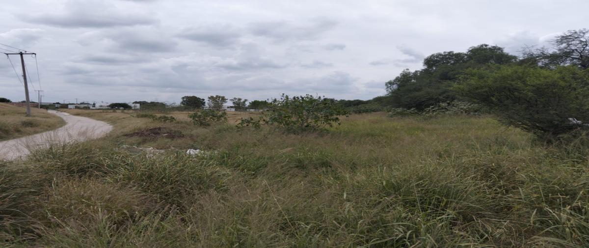 Foto de terreno industrial en venta en camino al rastro , vegas del río, san juan del río, querétaro, 31710016 No. 06