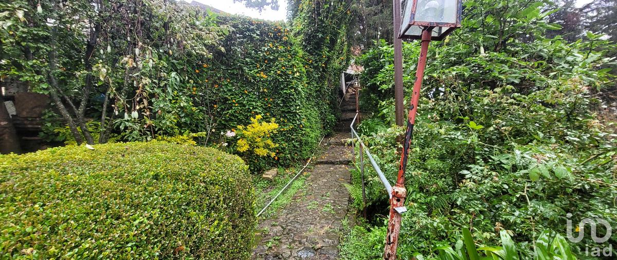 Foto de terreno habitacional en venta en camino al rio de los milagros , lo de sánchez, mineral del chico, hidalgo, 0 No. 04