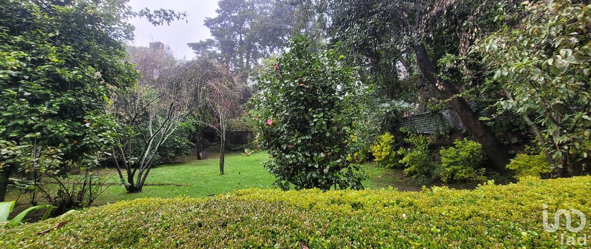 Foto de terreno habitacional en venta en camino al rio de los milagros , lo de sánchez, mineral del chico, hidalgo, 0 No. 05