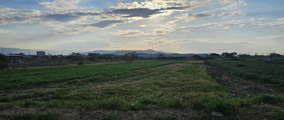 Foto de terreno habitacional en venta en camino al rosario , el rosario, oaxaca de juárez, oaxaca, 0 No. 04