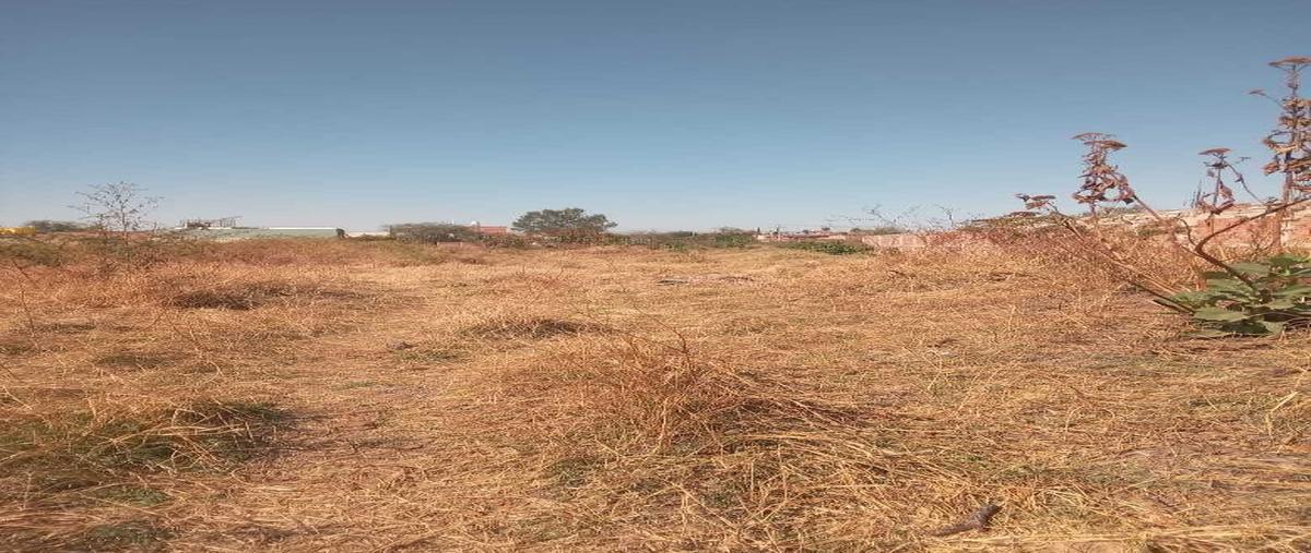 Foto de terreno habitacional en renta en camino al salto juanacatlan , álvarez del castillo, el salto, jalisco, 0 No. 04