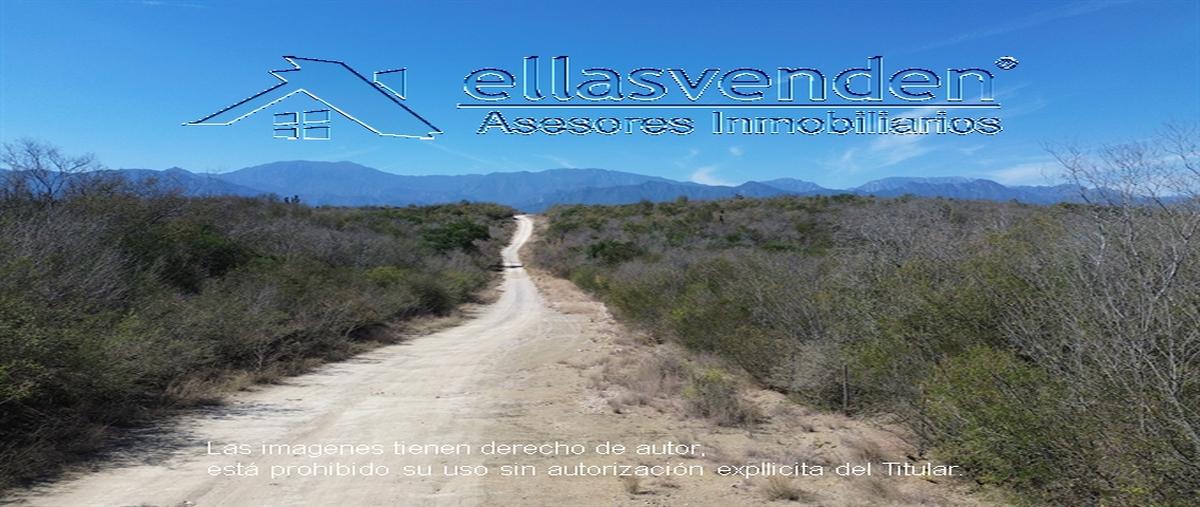 Foto de terreno habitacional en venta en camino al sauz 0, montemorelos centro, montemorelos, nuevo león, 0 No. 05