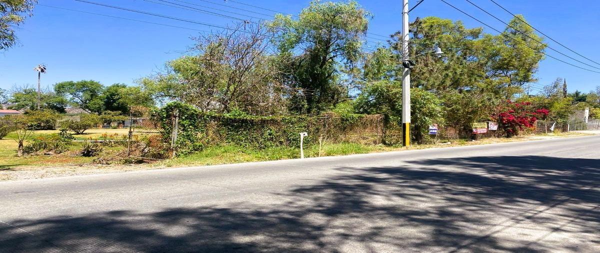 Foto de terreno habitacional en venta en camino al seminario , juanacatlan, juanacatlán, jalisco, 0 No. 05