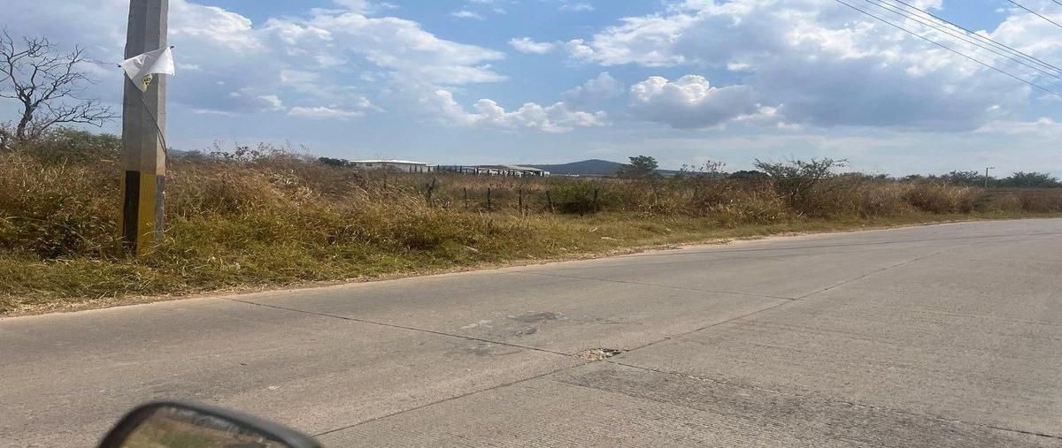 Foto de terreno habitacional en venta en camino al viejo seminario , san antonio juanacaxtle, juanacatlán, jalisco, 0 No. 05