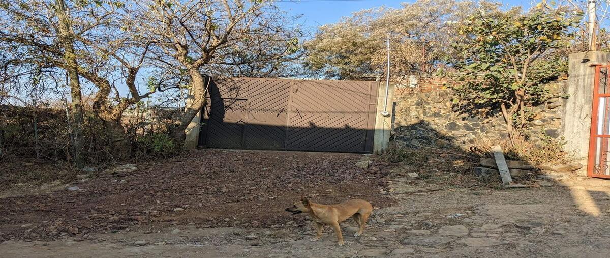 Foto de terreno habitacional en venta en camino antigua a octotitlan , tecmilco, tepoztlán, morelos, 30561820 No. 04