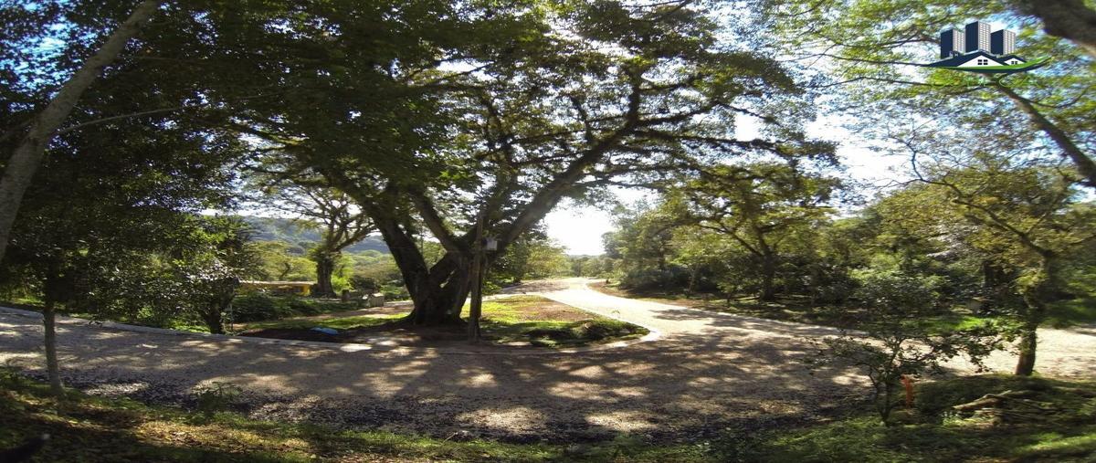 Foto de terreno habitacional en venta en camino antiguo a coatepec , briones, coatepec, veracruz de ignacio de la llave, 27312693 No. 03