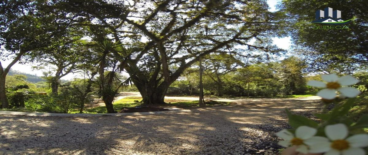 Foto de terreno habitacional en venta en camino antiguo a coatepec , briones, coatepec, veracruz de ignacio de la llave, 27312693 No. 04
