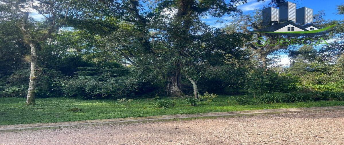 Foto de terreno habitacional en venta en camino antiguo a coatepec , briones, coatepec, veracruz de ignacio de la llave, 27312693 No. 05