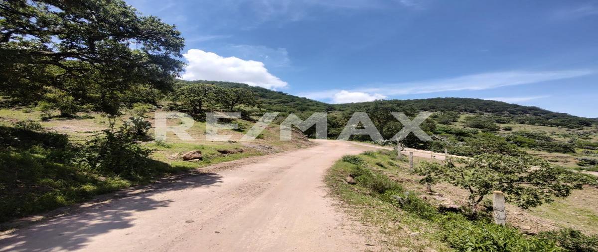 Foto de terreno habitacional en venta en camino antiguo a dolores hidalgo , santa rosa de lima, guanajuato, guanajuato, 0 No. 03