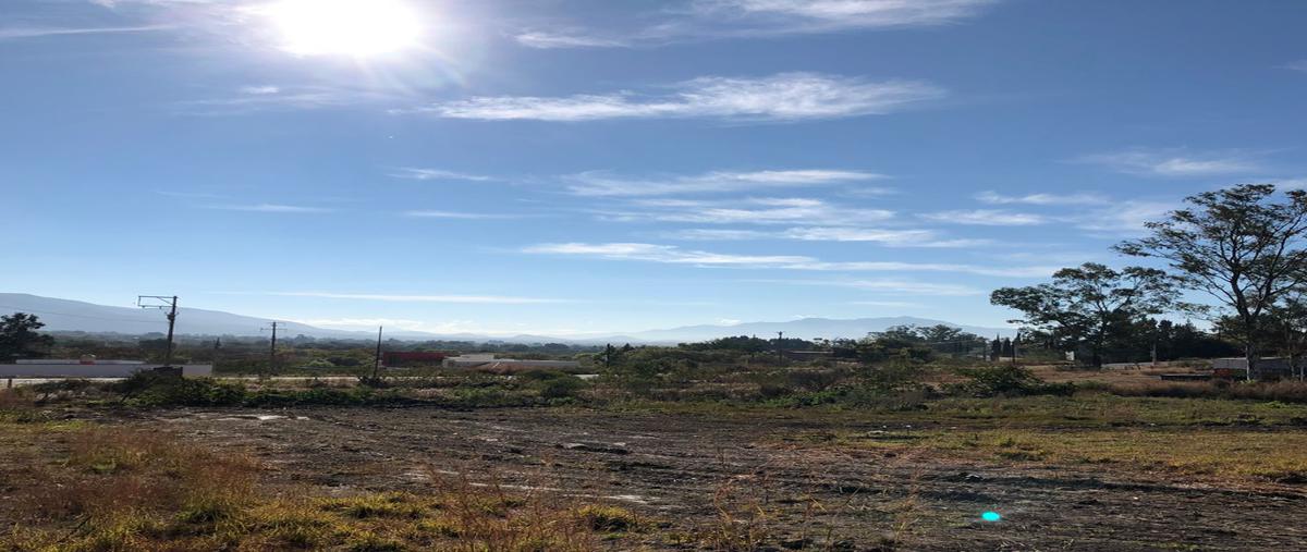 Foto de terreno habitacional en venta en camino antiguo a huayapam , tlalixtac de cabrera, tlalixtac de cabrera, oaxaca, 22561902 No. 03