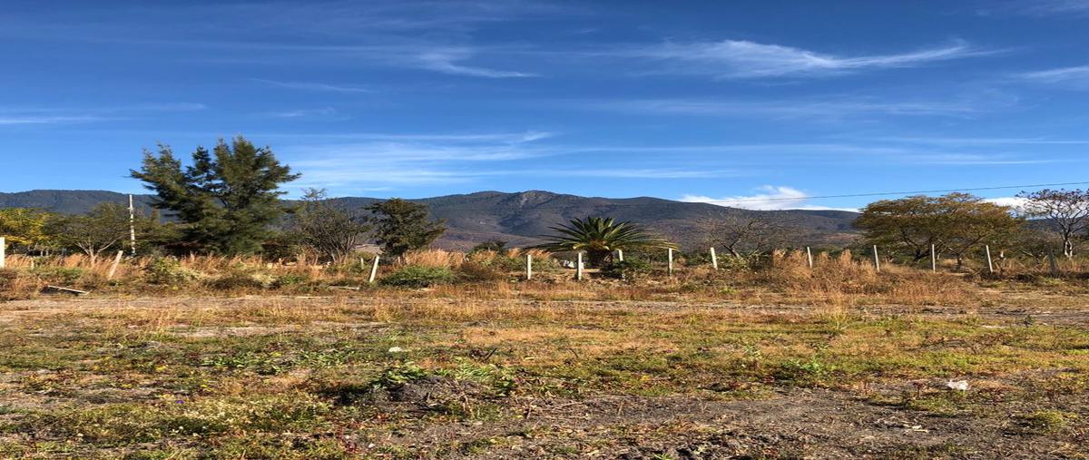 Foto de terreno habitacional en venta en camino antiguo a huayapam , tlalixtac de cabrera, tlalixtac de cabrera, oaxaca, 22561902 No. 05