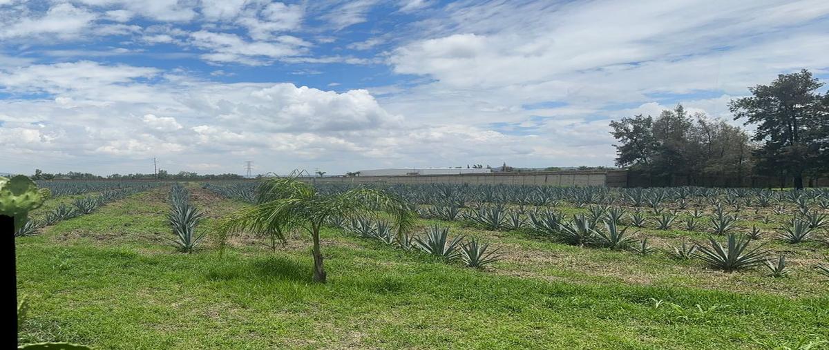 Foto de terreno comercial en venta en camino antiguo a los laureles , santa cruz de las flores, tlajomulco de zúñiga, jalisco, 0 No. 04