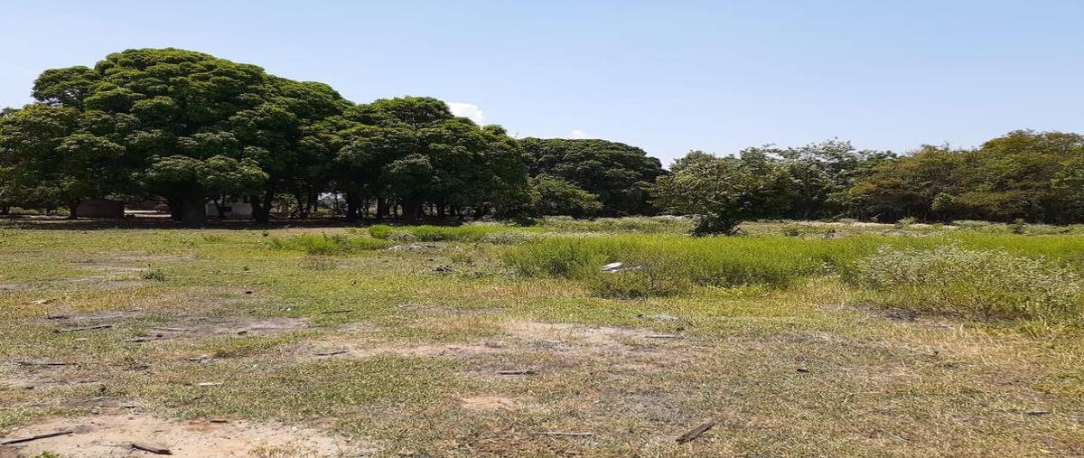 Foto de terreno comercial en camino. antiguo a. medrano , martin a martinez, altamira, tamaulipas, 0 foto 01 Foto de terreno comercial en venta en camino. antiguo a. medrano , martin a martinez, altamira, tamaulipas, 0 No. 01