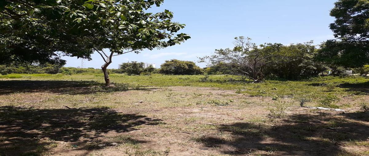 Foto de terreno comercial en camino. antiguo a. medrano , martin a martinez, altamira, tamaulipas, 0 foto 03 Foto de terreno comercial en venta en camino. antiguo a. medrano , martin a martinez, altamira, tamaulipas, 0 No. 03