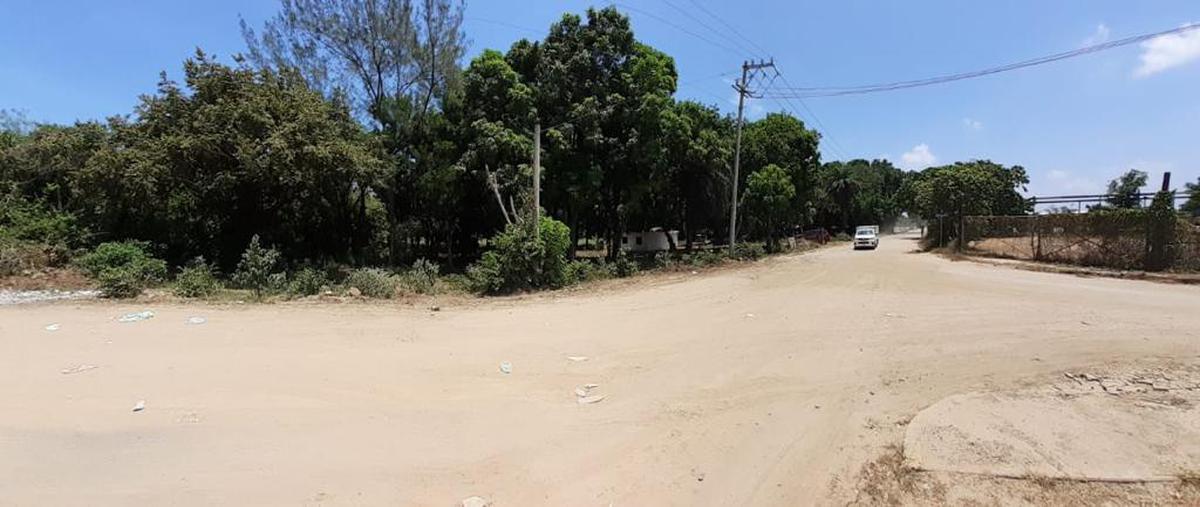 Foto de terreno comercial en camino. antiguo a. medrano , martin a martinez, altamira, tamaulipas, 0 foto 05 Foto de terreno comercial en venta en camino. antiguo a. medrano , martin a martinez, altamira, tamaulipas, 0 No. 05