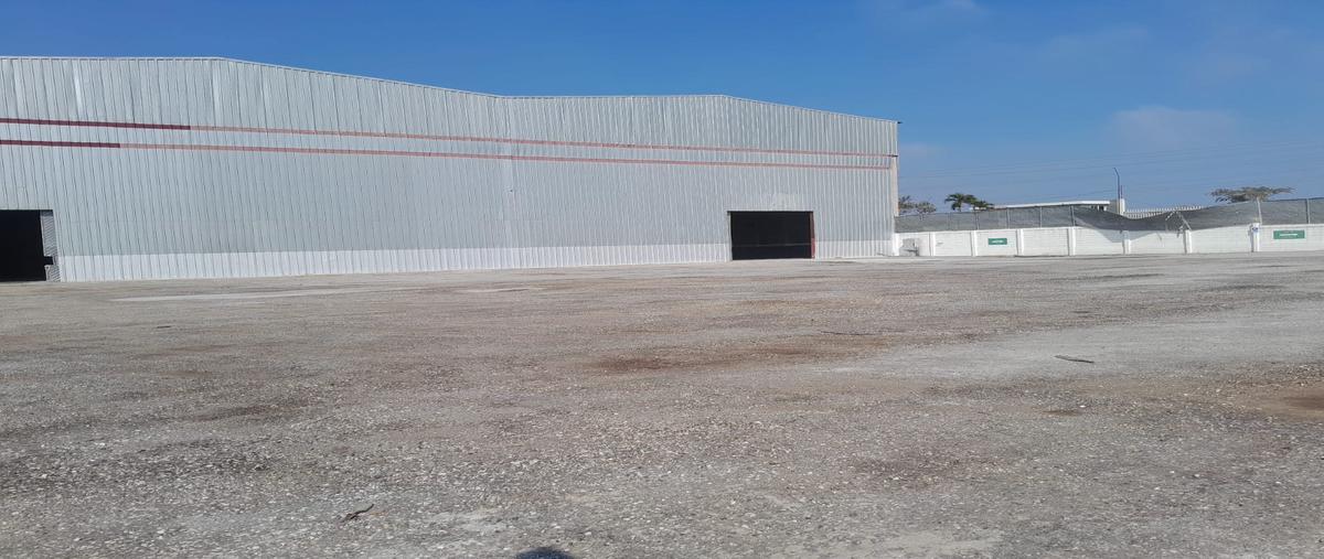 Foto de bodega en renta en camino antiguo al ejido flores magon , ejido ricardo flores magón, altamira, tamaulipas, 28174187 No. 05