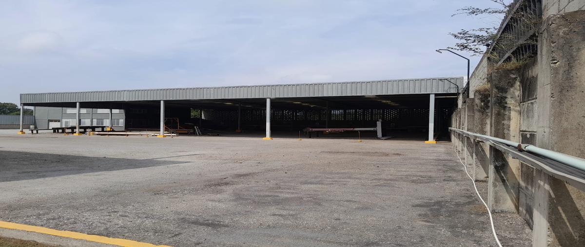 Foto de bodega en renta en camino antiguo al ejido flores magon , ejido ricardo flores magón, altamira, tamaulipas, 28174748 No. 04