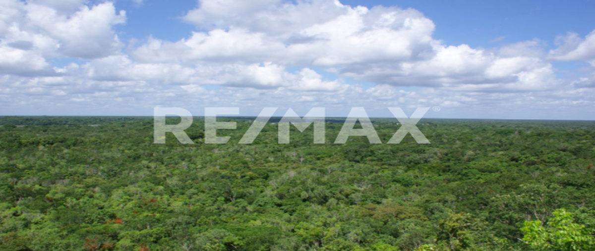 Foto de terreno habitacional en camino blanco , francisco uh-may, tulum, quintana roo, 0 foto 04 Foto de terreno habitacional en venta en camino blanco , francisco uh-may, tulum, quintana roo, 0 No. 04