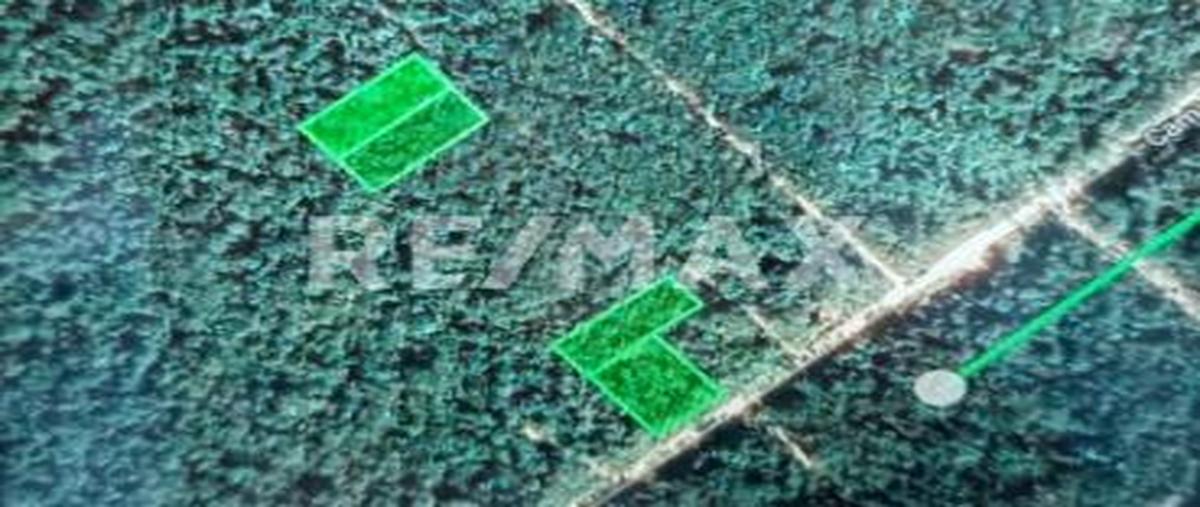 Foto de terreno habitacional en venta en camino blanco , tulum centro, tulum, quintana roo, 0 No. 02