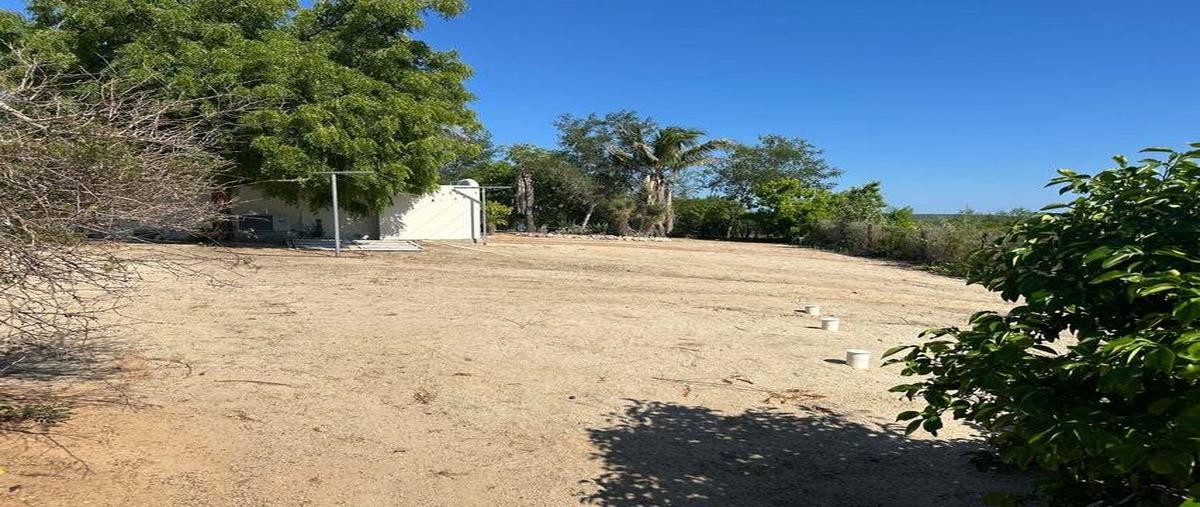 Foto de casa en venta en camino cabo este , la rivera, los cabos, baja california sur, 0 No. 03