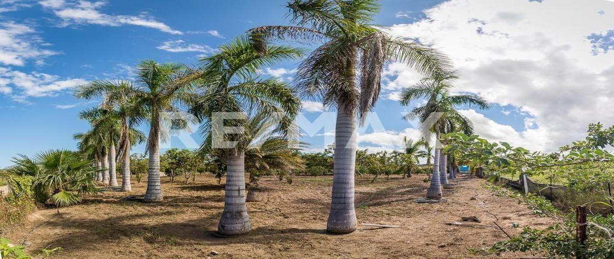 Foto de rancho en venta en camino cabo este , la rivera, los cabos, baja california sur, 0 No. 05