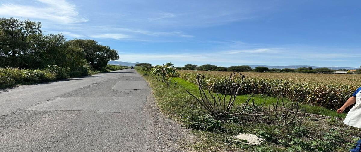 Foto de terreno habitacional en venta en camino canal de atequiza , el zapote del valle, tlajomulco de zúñiga, jalisco, 28890584 No. 04
