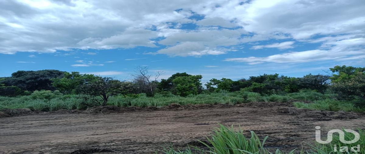 Foto de terreno comercial en venta en camino chahuites oaxaca, arriaga chiapas , los corazones, san pedro tapanatepec, oaxaca, 28923056 No. 03
