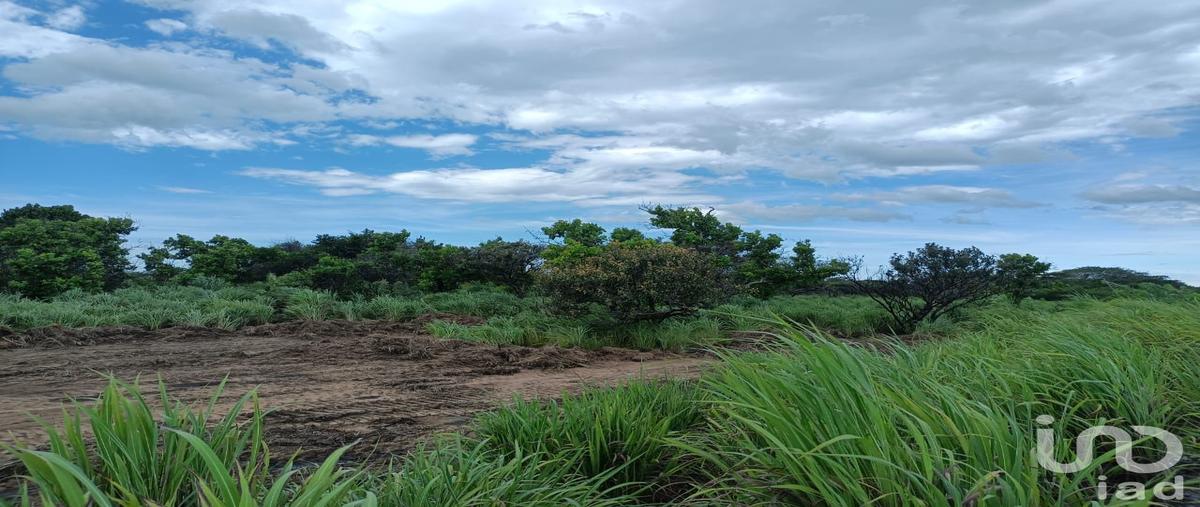 Foto de terreno comercial en venta en camino chahuites oaxaca, arriaga chiapas , los corazones, san pedro tapanatepec, oaxaca, 28923056 No. 04