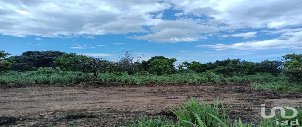 Foto de terreno comercial en venta en camino chahuites oaxaca, arriaga chiapas , los corazones, san pedro tapanatepec, oaxaca, 28923056 No. 05