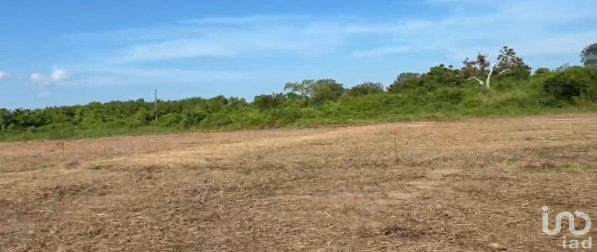 Foto de terreno habitacional en venta en camino chijolar , chijolar, tuxpan, veracruz de ignacio de la llave, 0 No. 03
