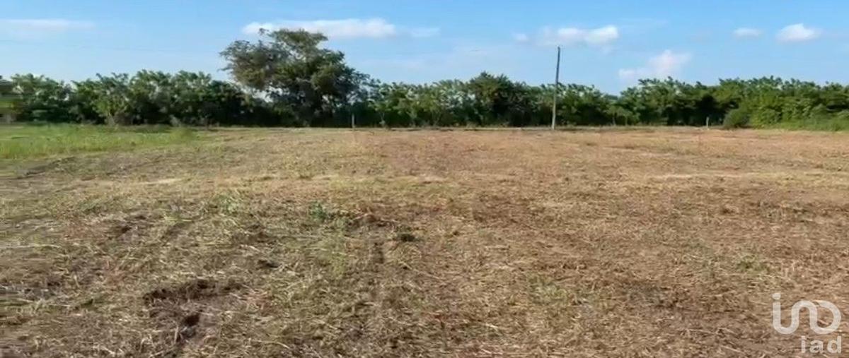 Foto de terreno habitacional en venta en camino chijolar , chijolar, tuxpan, veracruz de ignacio de la llave, 0 No. 04