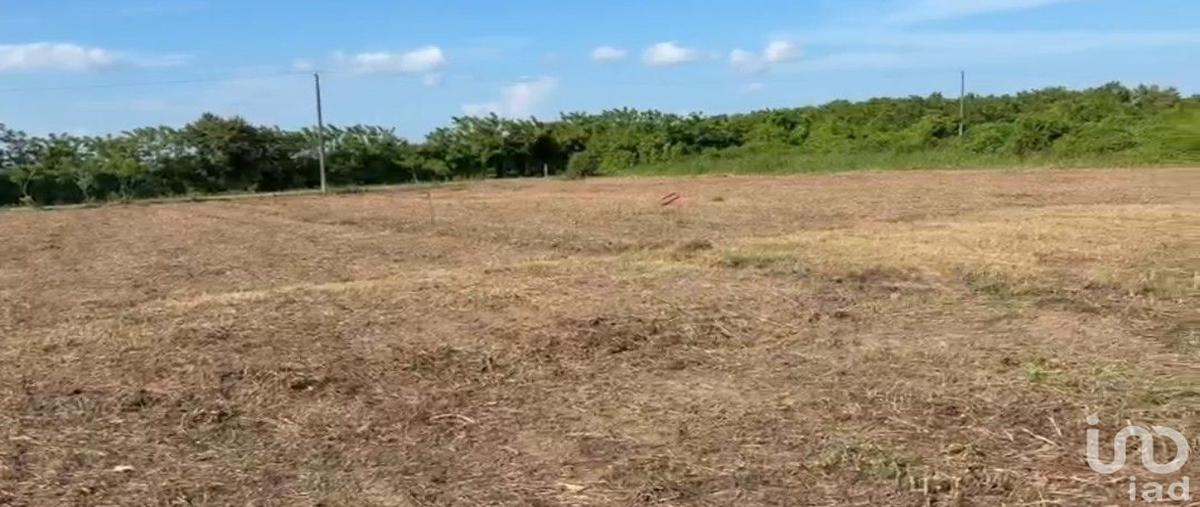 Foto de terreno habitacional en venta en camino chijolar , chijolar, tuxpan, veracruz de ignacio de la llave, 0 No. 05
