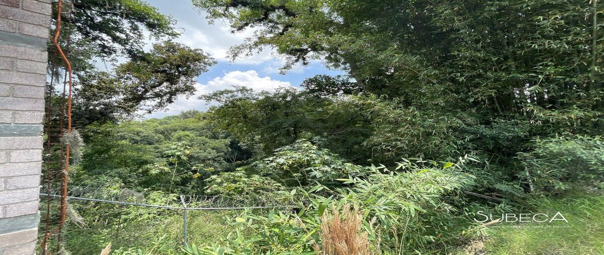 Foto de terreno habitacional en venta en camino coapexpan , coapexpan, xalapa, veracruz de ignacio de la llave, 0 No. 05