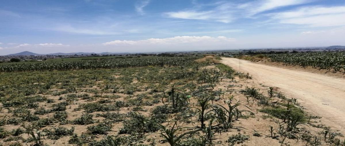 Foto de terreno habitacional en venta en camino cruz de angel 00, san juan tilapa centro, toluca, méxico, 25424440 No. 03