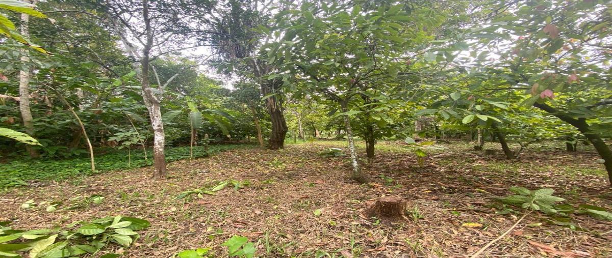 Foto de terreno habitacional en venta en camino de acceso 00, miguel hidalgo, comalcalco, tabasco, 0 No. 01