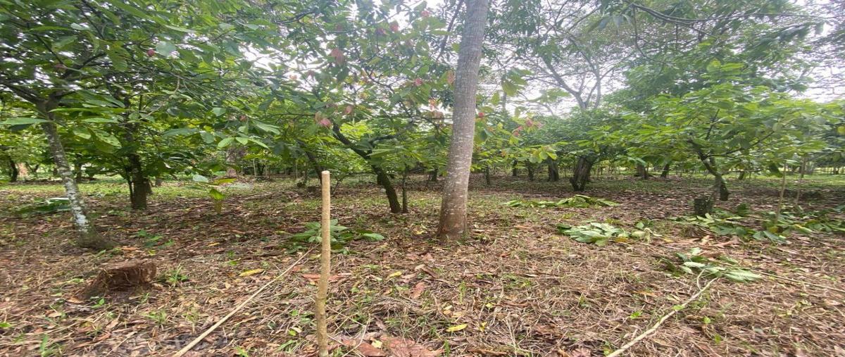 Foto de terreno habitacional en venta en camino de acceso 00, miguel hidalgo, comalcalco, tabasco, 0 No. 02