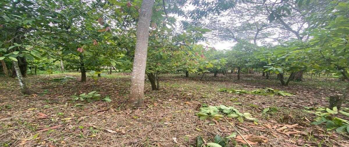 Foto de terreno habitacional en venta en camino de acceso 00, miguel hidalgo, comalcalco, tabasco, 0 No. 03