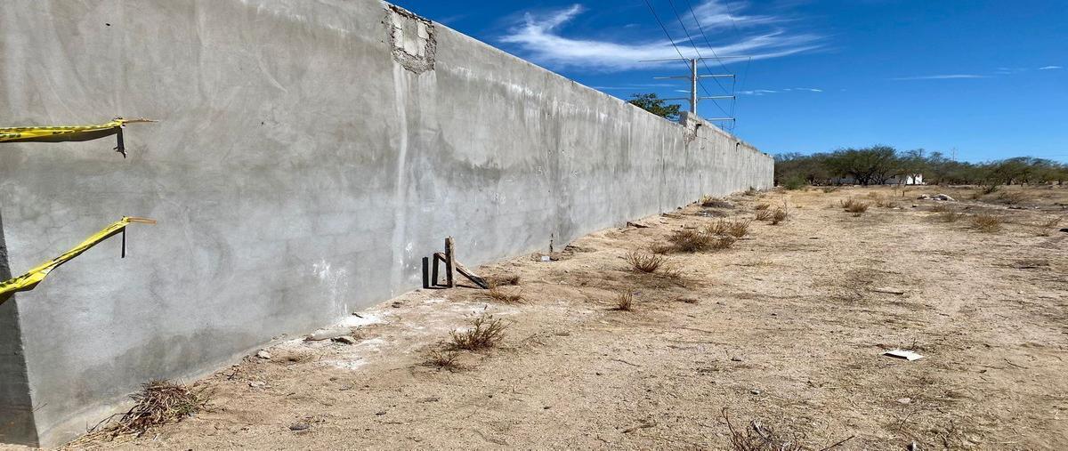 Foto de terreno habitacional en venta en camino de acceso , san antonio el zacatal, la paz, baja california sur, 26489110 No. 05