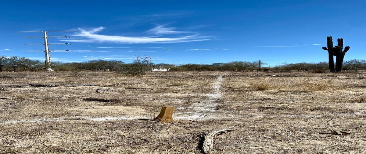 Foto de terreno habitacional en venta en camino de acceso , san antonio el zacatal, la paz, baja california sur, 26489110 No. 08