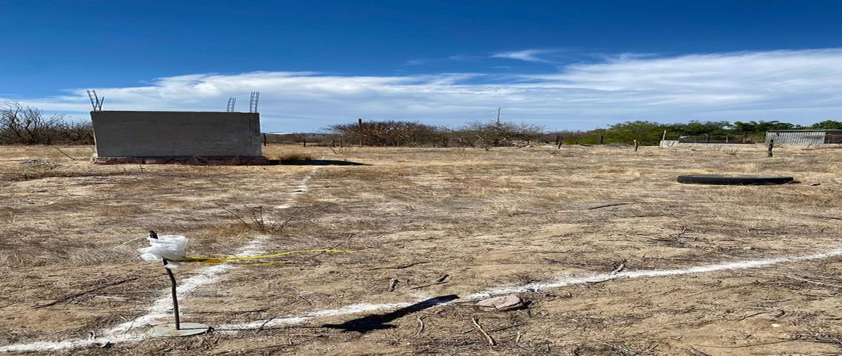 Foto de terreno habitacional en renta en camino de acceso , san antonio el zacatal, la paz, baja california sur, 28421539 No. 05