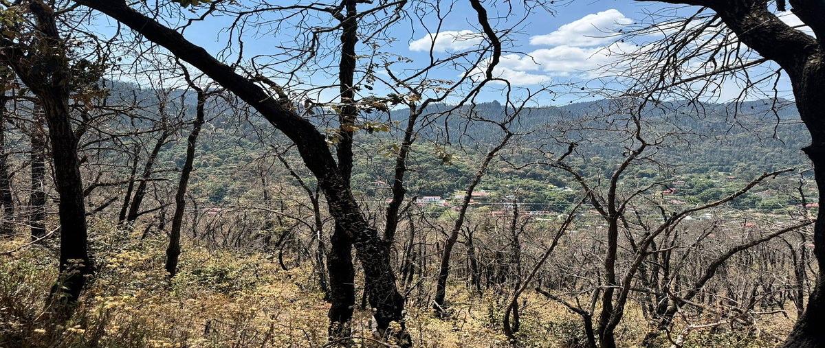 Foto de terreno habitacional en venta en camino de herradura , la sierra, mineral del chico, hidalgo, 0 No. 03